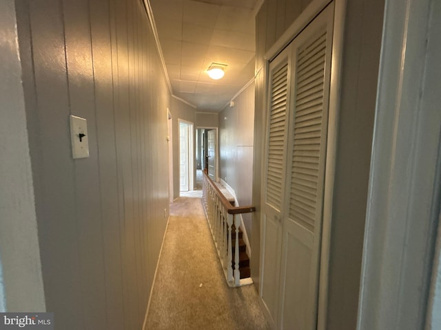 1115 E 11th St, Crum Lynne, PA 19022 - hallway with light colored carpet and ornamental molding