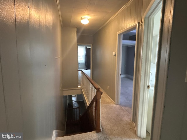 1115 E 11th St, Crum Lynne, PA 19022 - hall featuring light colored carpet, crown molding, an upstairs landing, and wood walls