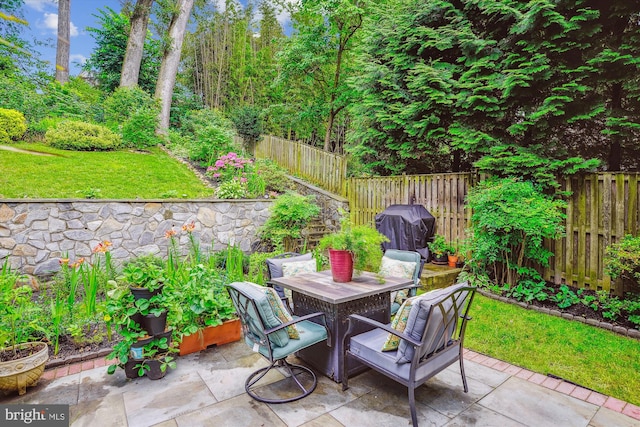 9505 Columbia Blvd, Silver Spring, MD 20910 - fenced backyard featuring a patio area and a grill