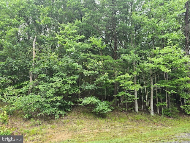 LOT81 Castle Dr, Montross, VA 22520