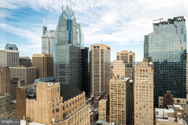 1425 Locust St Unit 5C, Philadelphia, PA 19102 - view of city skyline