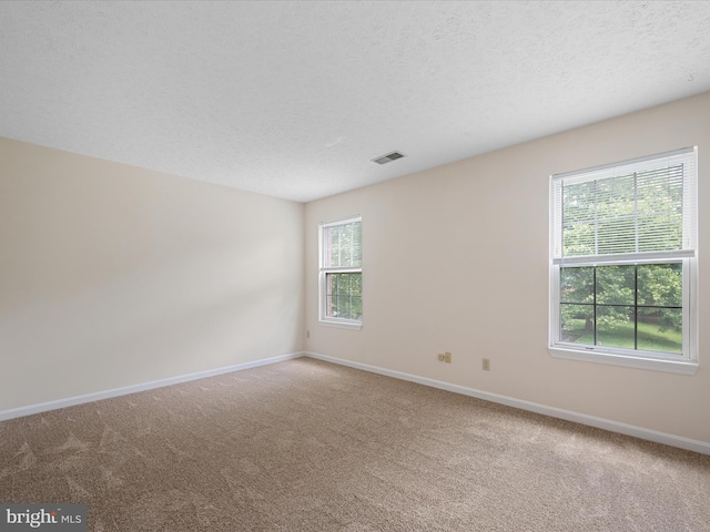 2635 Limestone Ct, Winchester, VA 22601 - spare room featuring plenty of natural light, carpet flooring, and a textured ceiling
