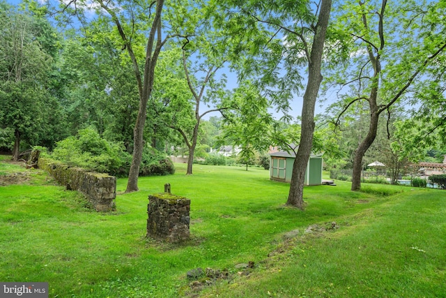 4105 Meadow Ln, Newtown Square, PA 19073 - view of grassy yard featuring a storage shed