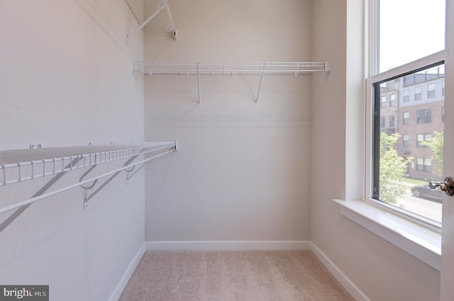 43792 Middleway Ter, Ashburn, VA 20147 - walk in closet with light colored carpet