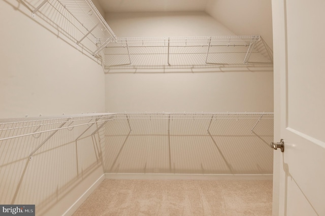 43792 Middleway Ter, Ashburn, VA 20147 - walk in closet featuring carpet