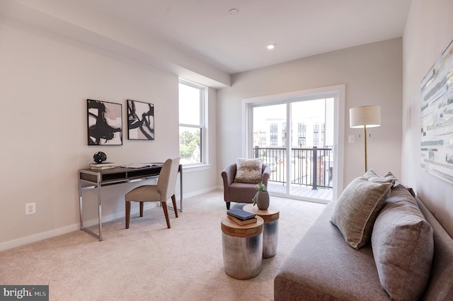 43792 Middleway Ter, Ashburn, VA 20147 - home office featuring light colored carpet and baseboards