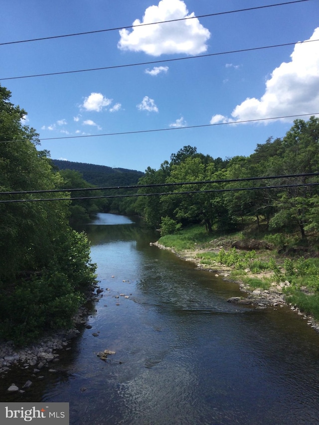 26 Crossings View Rd, Paw Paw, WV 25434 - water view featuring a forest