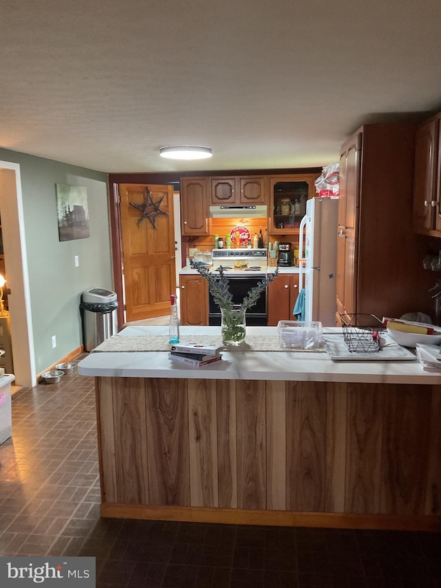 26 Crossings View Rd, Paw Paw, WV 25434 - kitchen featuring white appliances, under cabinet range hood, brown cabinetry, and light countertops