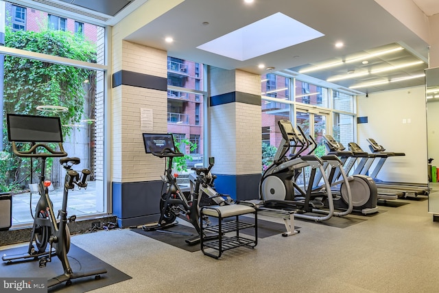 1025 1st St SE Unit 713, Washington, DC 20003 - exercise room with a skylight and recessed lighting
