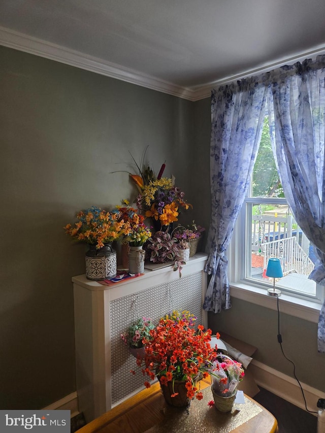 6370 Marsden St, Philadelphia, PA 19135 - detailed view of crown molding and radiator