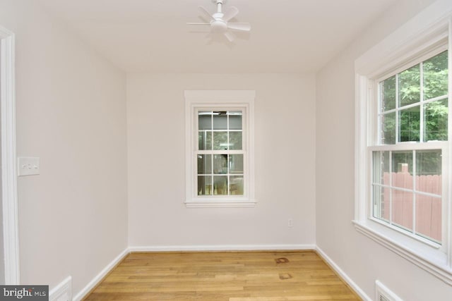 6016 N Kings Hwy, Alexandria, VA 22303 - empty room with light wood-type flooring and a ceiling fan