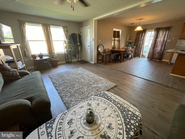 103 N W St, Harrington, DE 19952 - living room featuring wood finished floors, ceiling fan, and a textured ceiling