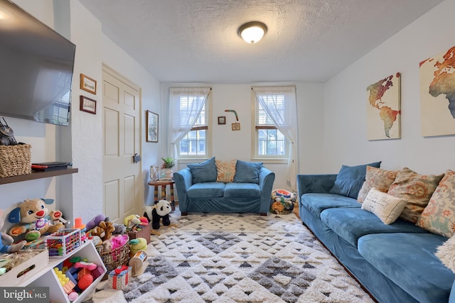 246 Marietta Ave, Mount Joy, PA 17552 - living room with a textured ceiling and carpet flooring