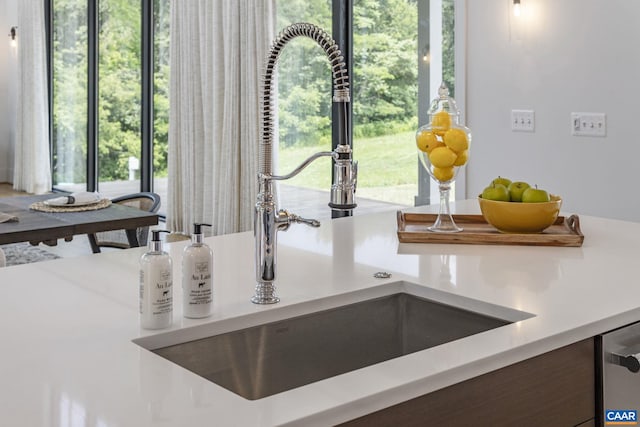 310 Goodloe Ln, Afton, VA 22920 - kitchen view of a sink and light countertops