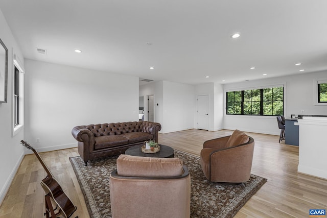 310 Goodloe Ln, Afton, VA 22920 - living area featuring light wood-style floors and recessed lighting