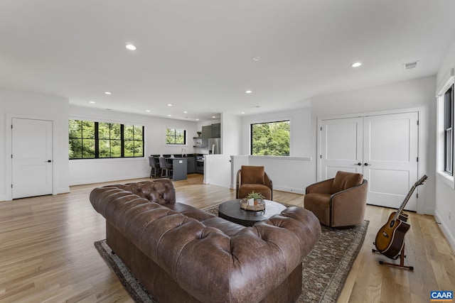 310 Goodloe Ln, Afton, VA 22920 - living area featuring light wood finished floors and recessed lighting