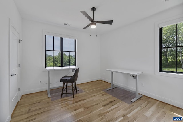310 Goodloe Ln, Afton, VA 22920 - office area with light wood-style floors and ceiling fan