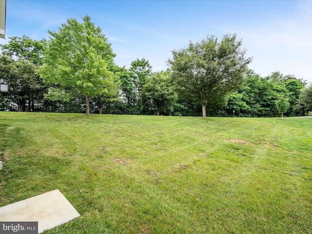 564 Great Oak Ct, Woodstock, VA 22664 - view of green lawn