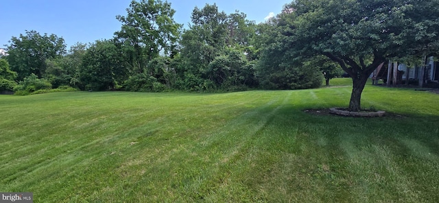 309 Lincoln Ave, Harrisburg, PA 17111 - view of green lawn