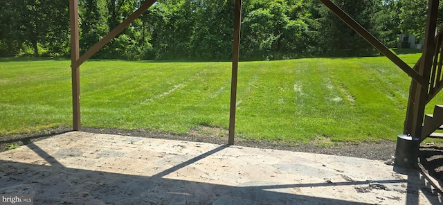309 Lincoln Ave, Harrisburg, PA 17111 - view of green lawn