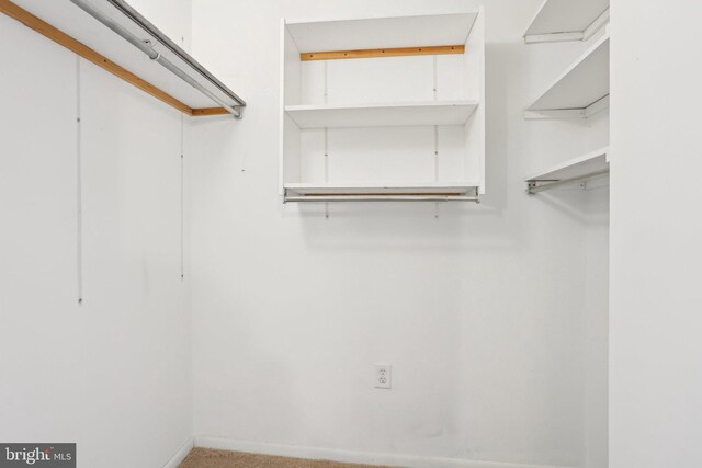 10306 Valley Forge Cir Unit 306, King Of Prussia, PA 19406 - view of walk in closet