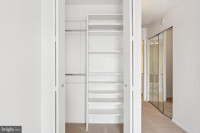 10306 Valley Forge Cir Unit 306, King Of Prussia, PA 19406 - view of closet