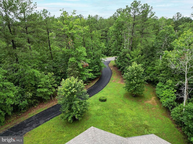 173 Empress Alexandra Pl, Fredericksburg, VA 22406 - bird's eye view of a heavily wooded area