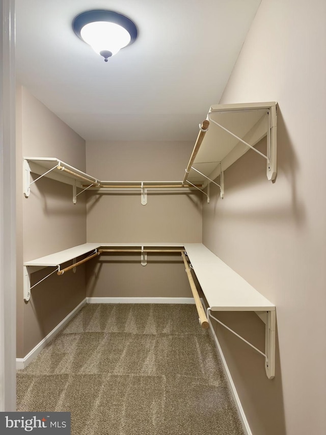 173 Empress Alexandra Pl, Fredericksburg, VA 22406 - walk in closet with dark carpet