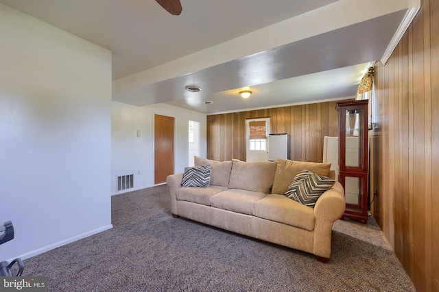 1 Sherman St, Hanover, PA 17331 - living room featuring carpet floors and wood walls