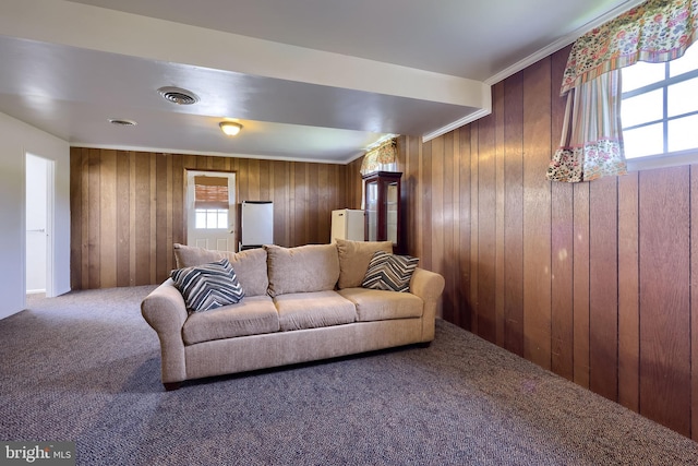 1 Sherman St, Hanover, PA 17331 - living room featuring carpet flooring, wooden walls, and ornamental molding