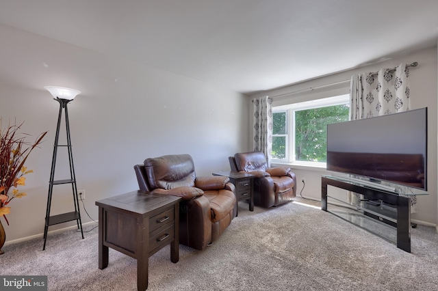 1 Sherman St, Hanover, PA 17331 - view of carpeted living room