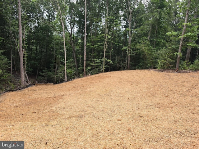 728 Meadow Dr, Tappahannock, VA 22560 - view of woods