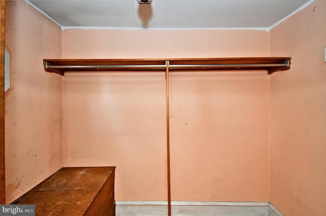 2228 Hillthorpe Ave, Abington, PA 19001 - view of walk in closet