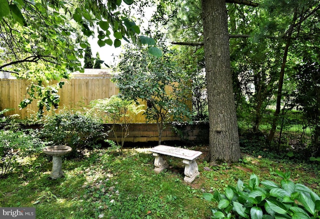 2228 Hillthorpe Ave, Abington, PA 19001 - view of yard