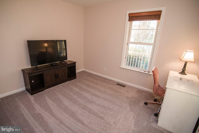 110 Jamestown Rd, Front Royal, VA 22630 - home office featuring carpet flooring