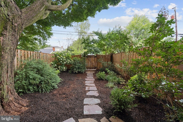 121 Harrison St NE, Leesburg, VA 20176 - view of fenced backyard