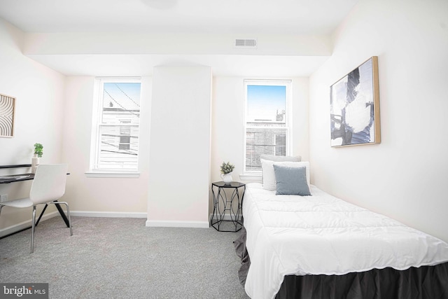 535 N Decker Ave, Baltimore, MD 21205 - bedroom featuring carpet floors and multiple windows