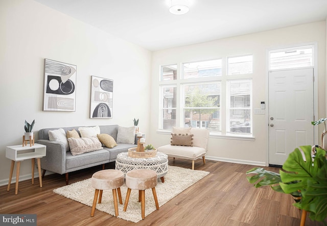 535 N Decker Ave, Baltimore, MD 21205 - living room with plenty of natural light and wood finished floors