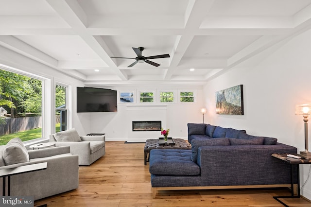 1227 Cross Rd, Annapolis, MD 21403 - living room with ceiling fan, beam ceiling, hardwood / wood-style flooring, a glass covered fireplace, and coffered ceiling