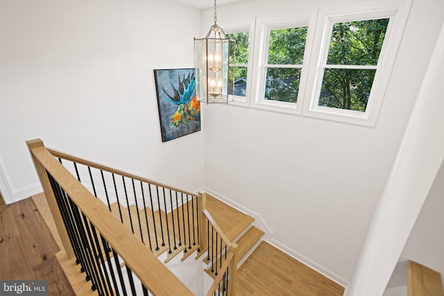 1227 Cross Rd, Annapolis, MD 21403 - stairs with a chandelier and wood finished floors