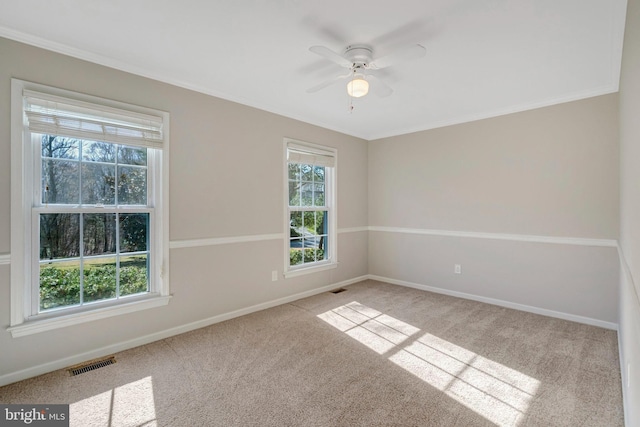 10828 Moore Dr, Manassas, VA 20111 - empty room featuring carpet flooring, plenty of natural light, a ceiling fan, and ornamental molding