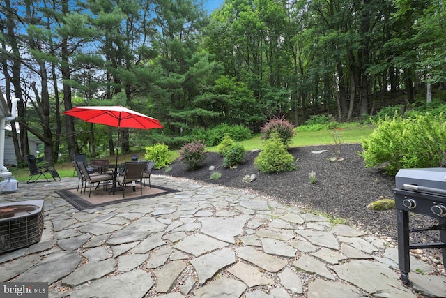 755 W Market St, Orwigsburg, PA 17961 - view of patio featuring area for grilling and outdoor dining space