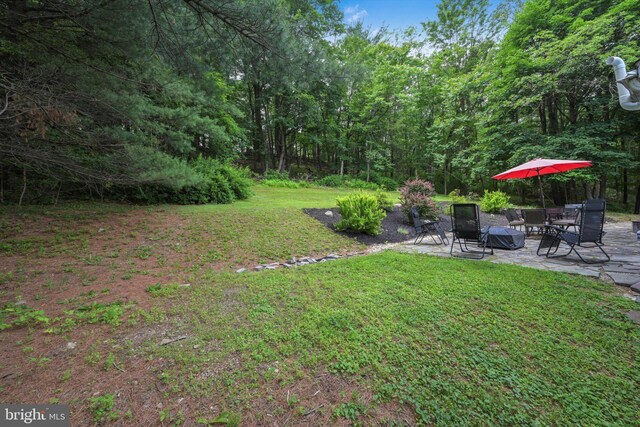 755 W Market St, Orwigsburg, PA 17961 - view of green lawn featuring a patio and a view of trees