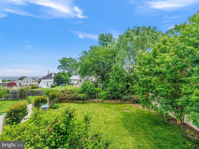 7811 Harbor Rd, Pasadena, MD 21122 - view of yard