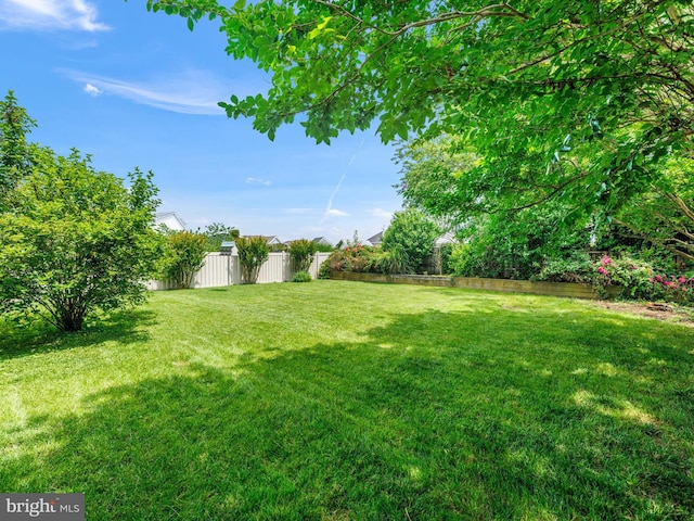 7811 Harbor Rd, Pasadena, MD 21122 - view of yard