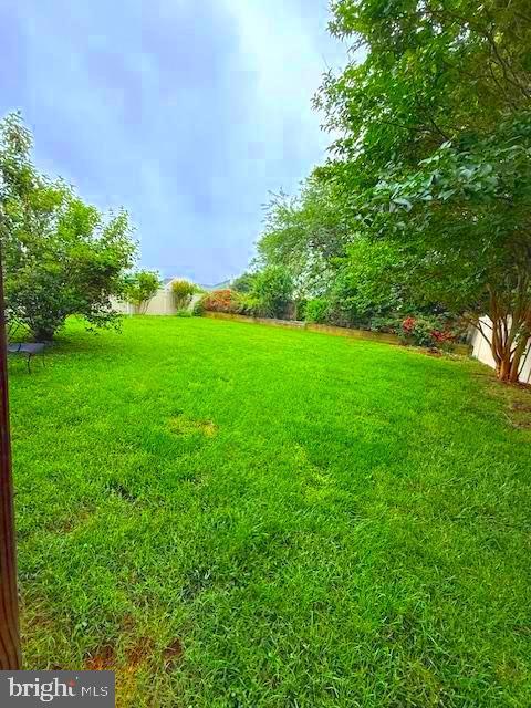 7811 Harbor Rd, Pasadena, MD 21122 - view of yard