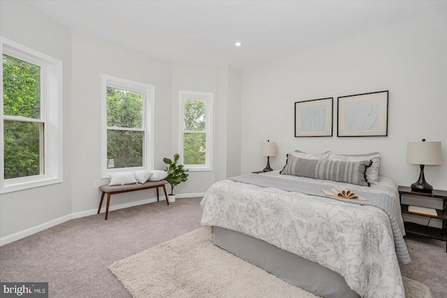 3209 Grayson St, Baltimore, MD 21216 - bedroom featuring carpet floors and recessed lighting