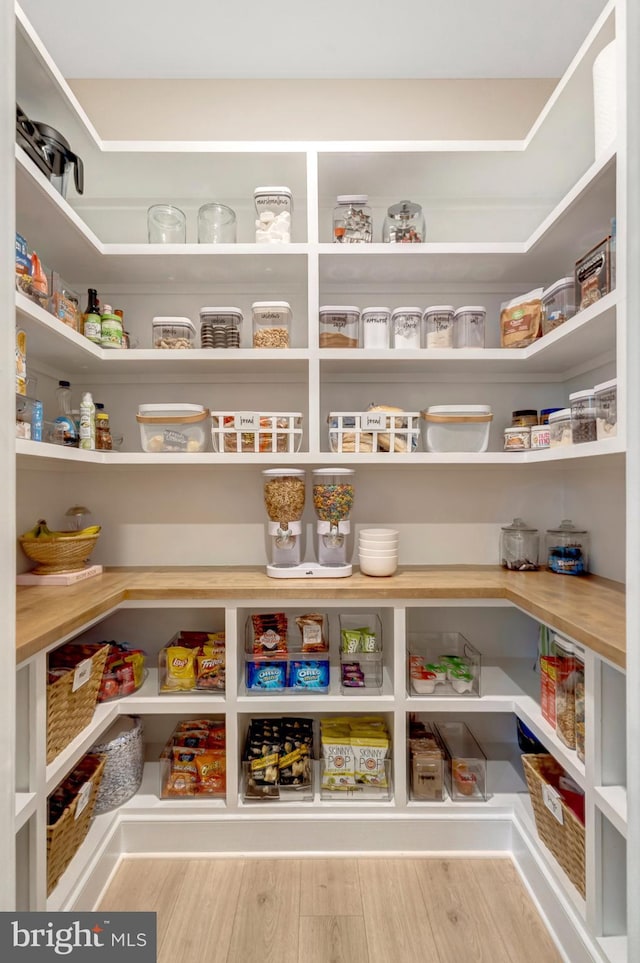 40928 Arcadian Pond Ct, Aldie, VA 20105 - view of pantry