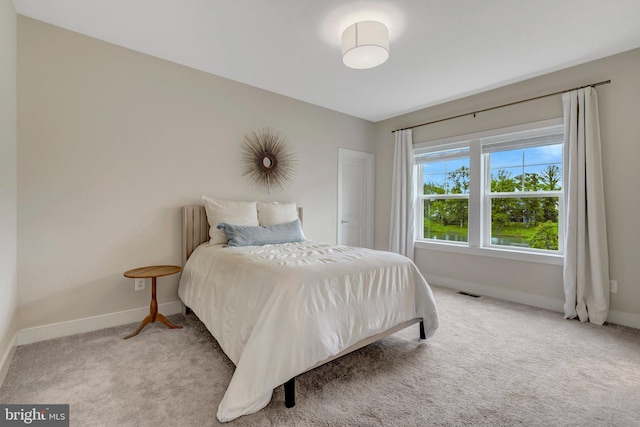 40928 Arcadian Pond Ct, Aldie, VA 20105 - carpeted bedroom featuring baseboards