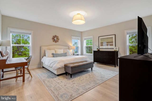 40928 Arcadian Pond Ct, Aldie, VA 20105 - bedroom featuring multiple windows, light wood finished floors, and a desk